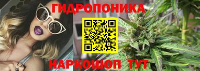 крисы Кунгур