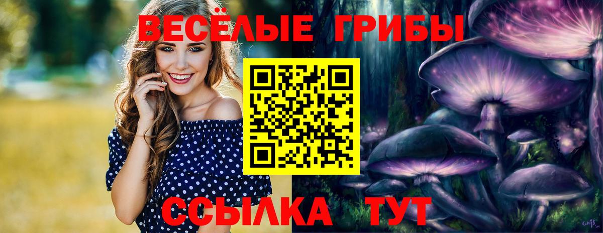 Псилоцибиновые грибы MAGIC MUSHROOMS  сколько стоит  Жигулёвск  Вход с VPN  Галлюциногенные грибы мухоморы 